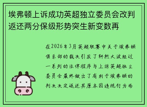 埃弗顿上诉成功英超独立委员会改判返还两分保级形势突生新变数再 埃弗顿上诉成功英超独立委员会改判返还两分保级形势突生新变数再